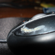 Image for article titled The Most Disgusting and Gross Tech Gear Gallery Ever